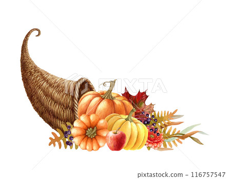 Harvest cornucopia with pumpkins watercolor painted illustration. Festive thanksgiving cornucopia with pumpkins, apples, autumn flowers and leaves. Autumn seasonal decoration on white background 116757547