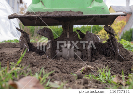 Small green garden tiller is actively engaged in tilling rich, dark soil in a vegetable garden plot 116757551