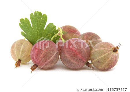 Close-up view of fresh ripe gooseberries with green leaves on white background Close-up view of fresh ripe gooseberries with green leaves on white background 116757557