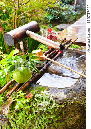 大原法仙院 美麗的秋景（京都市左京區） 116757661