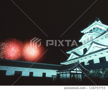 長濱城及煙火（北琵琶湖花火大會）/滋賀縣長濱市 116757753