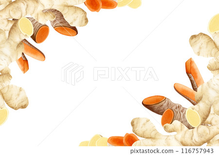 Turmeric and ginger roots corner frame banner illustration isolated on white background for label designs. Raw spicy vegetable template with copy space 116757943