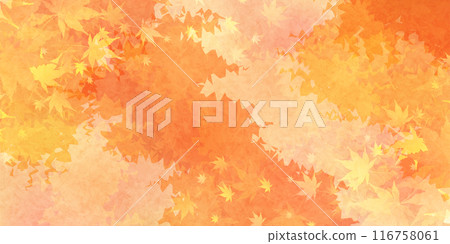 Autumn leaves autumn background Autumn leaves autumn background 116758061