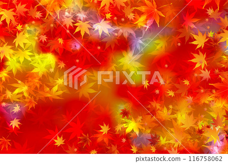 Autumn leaves autumn background Autumn leaves autumn background 116758062