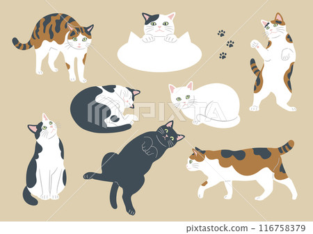Illustration of cute cats in various patterns and poses 116758379