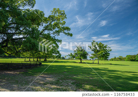 奈良公園 日日野園地 奈良公園 日日野園地 116758433