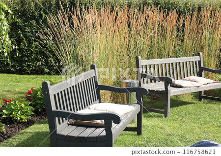 Grey painted wooden bench in park. Nature and recreation. Country estate in summer.  116758621