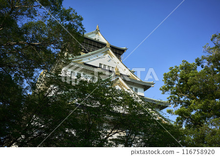 Osaka Castle in the morning 116758920