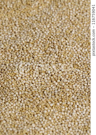 a large amount of quinoa groats during porridge cooking 116759041