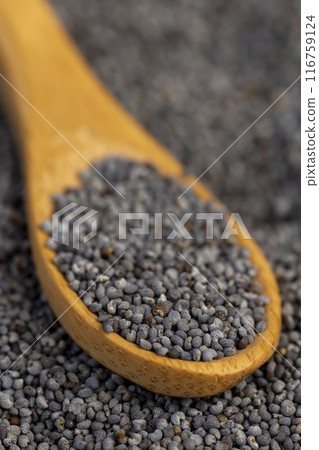 scattered poppy seeds for cooking scattered poppy seeds for cooking 116759124