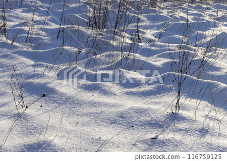 drifts of pure white snow after a snowfall 116759125