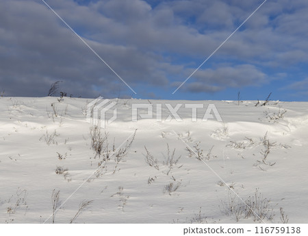 drifts of pure white snow after a snowfall drifts of pure white snow after a snowfall 116759138