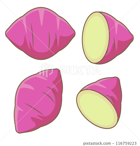 Cute sweet potato illustration set 116759223