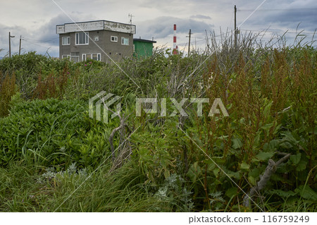 Scenery from the coast of Tomakomai 116759249