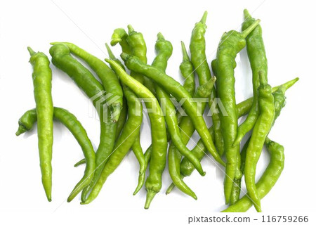 白色背景上的辣椒 116759266