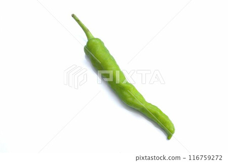 白色背景上的辣椒 116759272