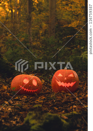 two glowing pumpkin heads on the ground in forest two glowing pumpkin heads on the ground in forest 116759387