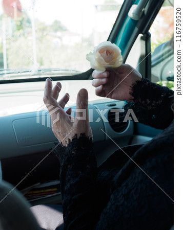 Elderly woman holding a rose in car Elderly woman holding a rose in car 116759520
