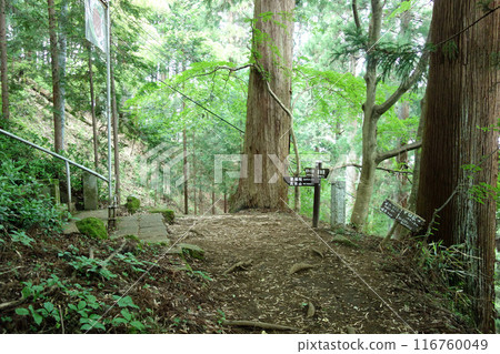 通往高水山常福院龍岳寺的石階和路標(東京都青梅市) 通往高水山常福院龍岳寺的石階和路標(東京都青梅市) 116760049