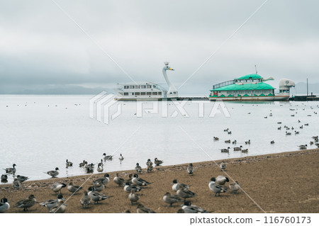 Lake Inawashiro in winter with tourists sightseeing boat and teal Ducks and Swan in Fukushima Prefecture, Tohoku Region, Japan. Landmark for tourist attractions and vacation holiday concept 116760173