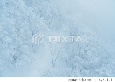 View of Snow monster in Winter day at Mount Zao ski resort, Yamagata prefecture, Japan. powder snow covered in frosty weather. Travel, Adventure and Vacation background View of Snow monster in Winter day at Mount Zao ski resort, Yamagata prefecture, Japan. powder snow covered in frosty weather. Travel, Adventure and Vacation background 116760191