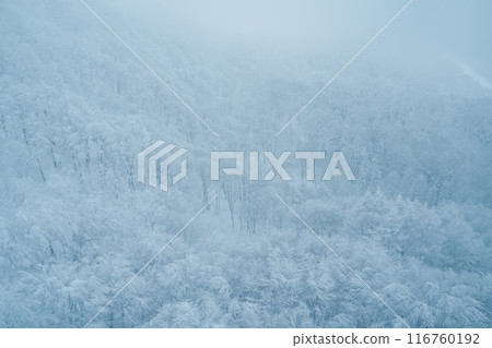 View of Snow monster in Winter day at Mount Zao ski resort, Yamagata prefecture, Japan. powder snow covered in frosty weather. Travel, Adventure and Vacation background View of Snow monster in Winter day at Mount Zao ski resort, Yamagata prefecture, Japan. powder snow covered in frosty weather. Travel, Adventure and Vacation background 116760192