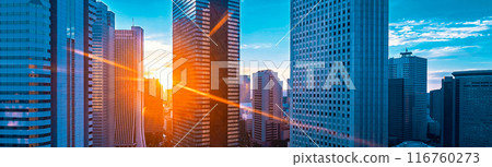 Skyscrapers in Shinjuku, Tokyo, Japan 116760273