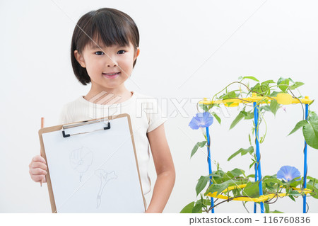 Elementary school students observing morning glories during summer vacation 116760836