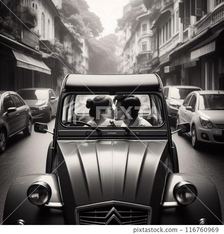 Couple Kissing in the Back of a Car 116760969