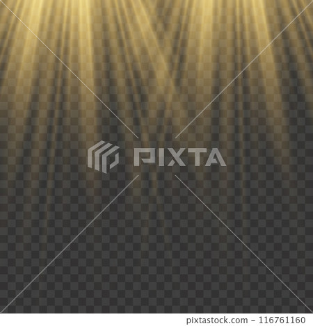 Golden sunburst with lens flare on transparent background, vector 116761160