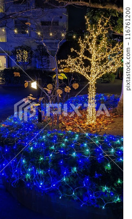 illumination 116761200