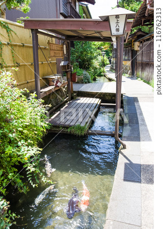 [郡上八幡]鯉魚遊動的「井川小徑」水 116762313