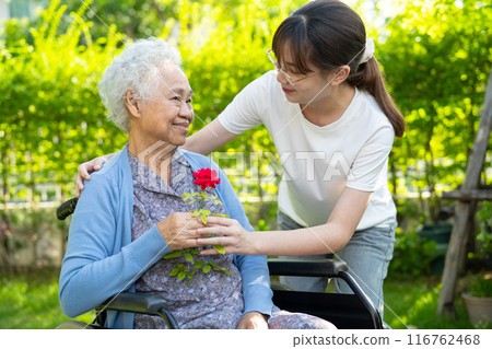 Asian elderly woman holding red rose flower, smile and happy in the sunny garden. Asian elderly woman holding red rose flower, smile and happy in the sunny garden. 116762468