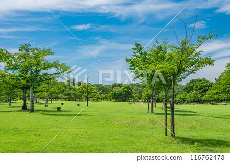 Nara Park Kasuganoenchi 116762478