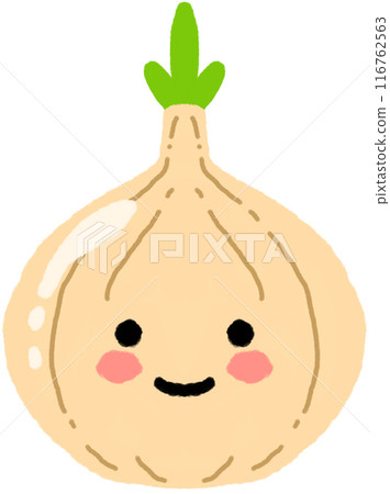 onion 116762563