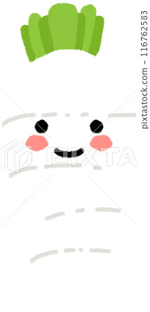 vegetable radish vegetable radish 116762583