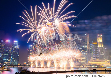 Fireworks celebrating Singapore's Independence Day over Marina Bay 116762660