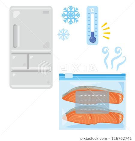 Salmon fillets in refrigerator and freezer bags Salmon fillets in refrigerator and freezer bags 116762741