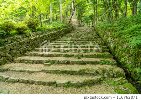 滋賀縣東近江市：從綠意盎然的百濟寺正殿通往正殿的石階 116762871