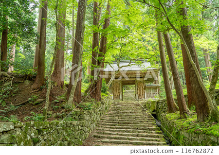 Higashiomi City, Shiga Prefecture: Niomon Gate with large straw sandals leading from the main temple of Baekje Temple to the main hall amid the fresh greenery Higashiomi City, Shiga Prefecture: Niomon Gate with large straw sandals leading from the main temple of Baekje Temple to the main hall amid the fresh greenery 116762872