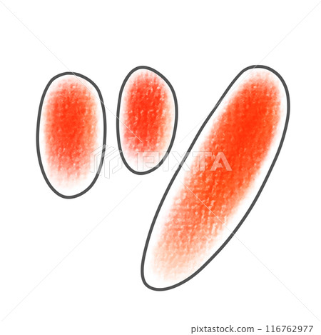 A relaxed and simple rounded version of the katakana character "tsu" in an analog style A relaxed and simple rounded version of the katakana character "tsu" in an analog style 116762977