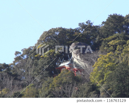 Kumano Kodo (Kamikura Shrine) 116763129