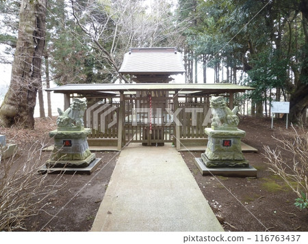 正坂土口宮神社（千葉縣佐倉市） 116763437