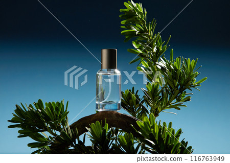 Nature concept template for cosmetic advertising pic over dark blue background. A serum bottle of transparent essence without label, which placed on a branch with green leaves, design space 116763949