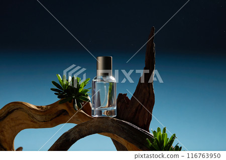 Nature theme photography for cosmetic products, was taken from front over the dark blue texture. In the middle of photo frame having an unbranded serum bottle featured on a dry tree branch 116763950