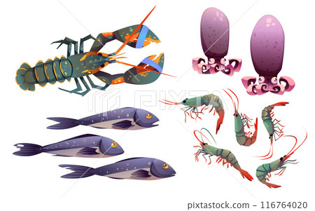 Cartoon seafood set isolated on white background 116764020