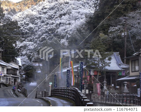 Kumano Kodo 116764071