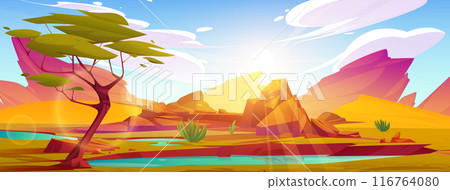 African savannah desert with oasis 116764080