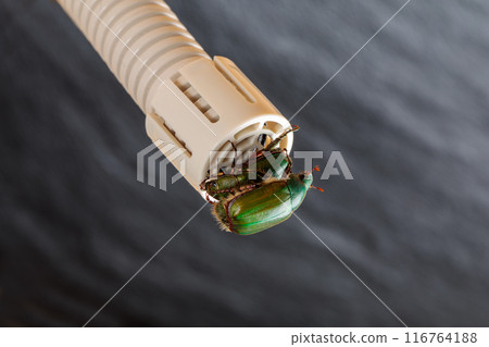 冷卻器排水管和昆蟲控制 116764188