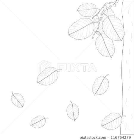 Childrens coloring books, Bright vector drawing of falling autumn leaves, fall Childrens coloring books, Bright vector drawing of falling autumn leaves, fall 116764279